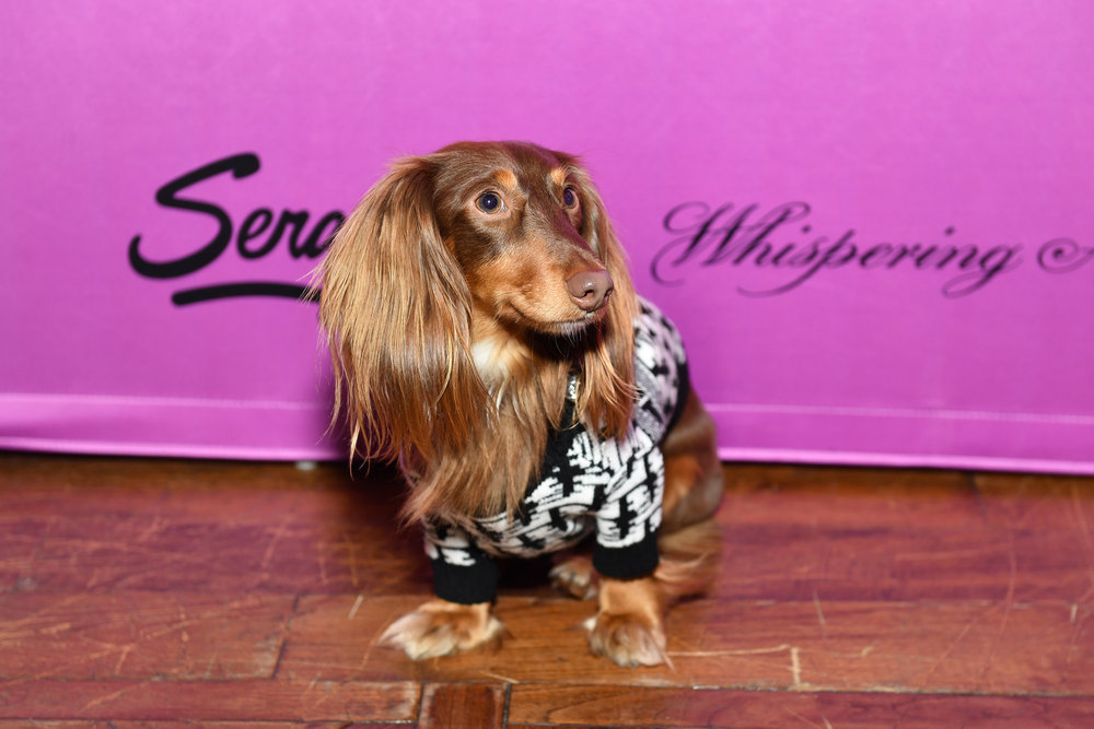 Summer House Martha’s Vineyard Episode 2 Recap The Coming of Phil