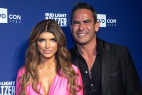 Teresa Giudice and Luis Ruelas