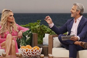 Tamra Judge and Brynn Whitfield laughed about Brynn scolding Tamra for attacking Andy Cohen at the RHOC reunion