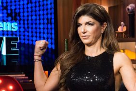 Teresa Giudice Real Housewives of New Jersey RHONJ