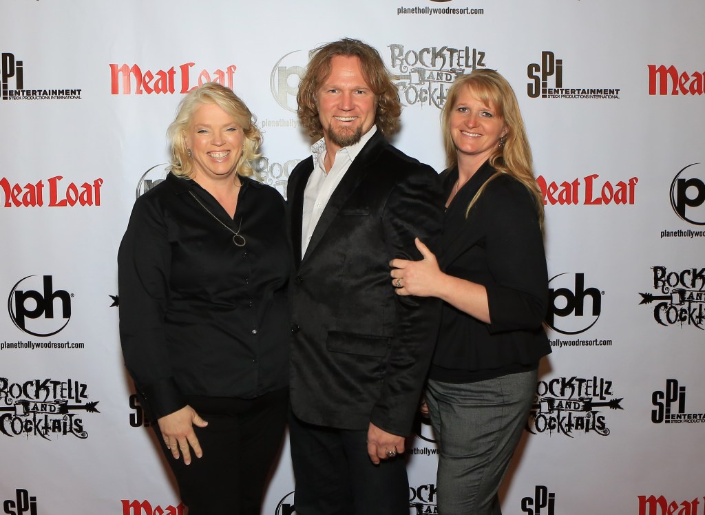Sister Wives stars Janelle, Kody, and Christine Brown