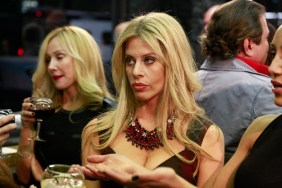 Dina Manzo on Real Housewives of New Jersey Season 6, making a blank expression and standing amongst several people