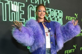 Rihanna holding her arms up and posing in a purple fur coat