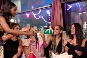 RHONY reboot pregnancy