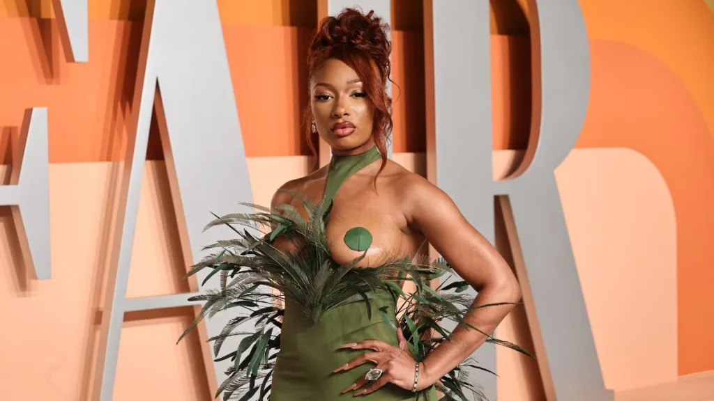 Megan Thee Stallion Oscars gown photos