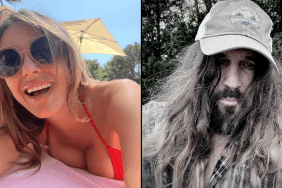Elizabeth Hurley dating Billy Ray Cyrus divorce