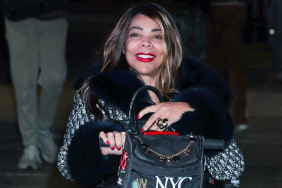 Wendy Williams guardianship battle