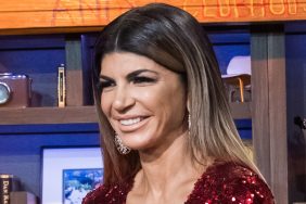 Teresa Giudice RHONJ