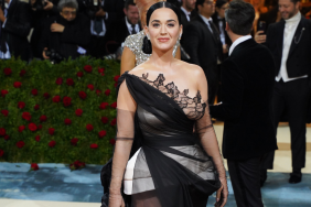 Katy Perry Met Gala 2025 AI photos