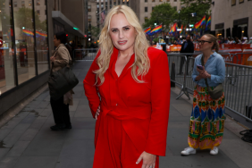 Rebel Wilson plastic surgery Bride Hard injury accident