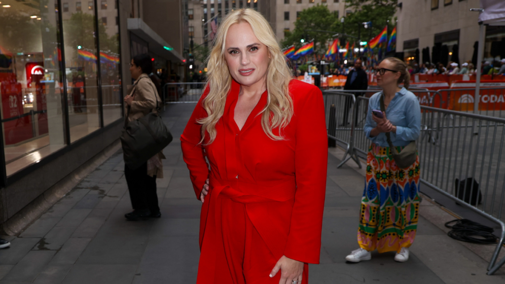 Rebel Wilson plastic surgery Bride Hard injury accident