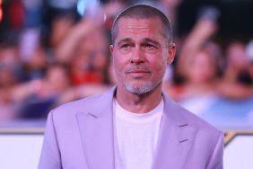 Brad Pitt LA home burglary