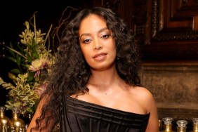 Solange Knowles Net Worth 2025: How Much Money Does She Make?