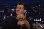 Orlando Bloom dog