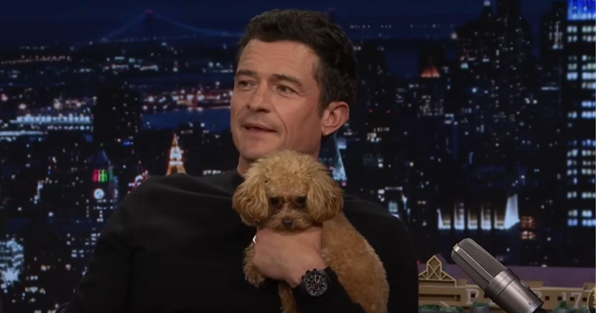 Orlando Bloom Hangs Out With ‘Support’ Dog Amid Katy Perry Split Rumors