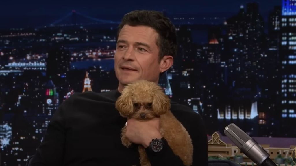 Orlando Bloom dog