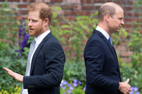 Prince Harry Prince William