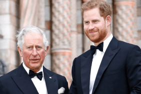 Prince Harry King Charles Royal Family feud