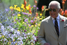 King Charles gardening staff exit