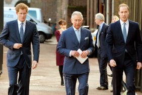 Prince Harry Prince William King Charles London visit