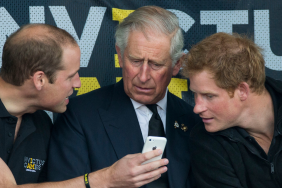 Prince William Prince Harry King Charles aides meeting