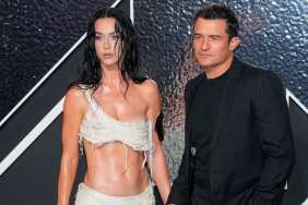 Katy Perry & Orlando Bloom Have Paused Co-Parenting For a Reason, 'Source' Says