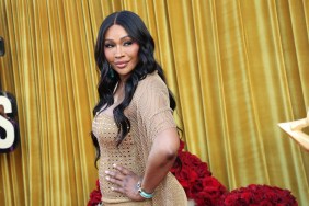 Cynthia Bailey in a brown dress posing from the side in front of a gold curtain