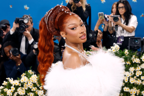 Megan Thee Stallion boyfriend