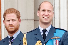 Prince Harry, Duke of Sussex and Prince William, Duke of Cambridge watch a flypast to mark the centenary of the Royal Air Force from the balcony of Buckingham Palace on July 10, 2018 in London, England. The 100th birthday of the RAF, which was founded on on 1 April 1918, was marked with a centenary parade with the presentation of a new Queen's Colour and flypast of 100 aircraft over Buckingham Palace.