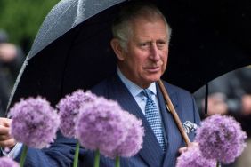 Prince Charles, Prince of Wales views the Great Broad Walk Borders at Kew Gardens on May 17, 2017 in London, England.
