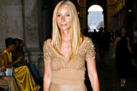 Gwyneth Paltrow book