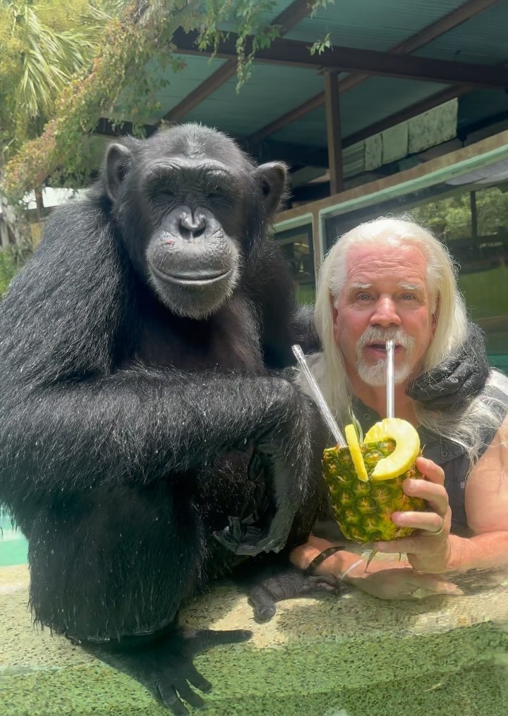 Doc Antle and a chimp sharing a drink out of a pineapple