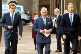 Prince Harry's Relationship With William Is 'Different From King Charles,' Expert Says