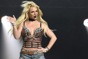 Britney Spears Posts Funny Meme After Nude Photo