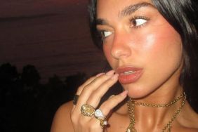 Dua Lipa's sexy backless dress takes over birthday photos on Instagram