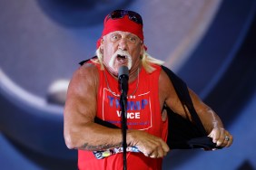 Hulk Hogan ripping off his shirt