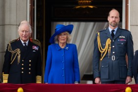 Camilla with King Charles and Prince William