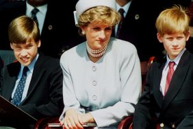 Prince William, Princess Diana, and Prince Harry