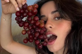 Camila Cabello Risks Wardrobe Malfunction on Stage