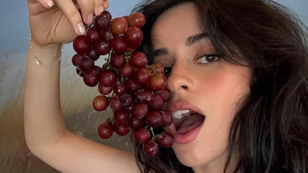 Camila Cabello Risks Wardrobe Malfunction on Stage