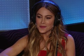 Howard Stern Faces Backlash for Asking Sofia Vergara About Breastfeeding
