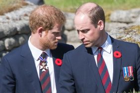 Prince William, Duke of Cambridge and Prince Harry walk through a trench during the commemorations for the 100th anniversary of the battle of Vimy Ridge on April 9, 2017 in Lille, France