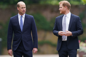 Prince William and Prince Harry talking