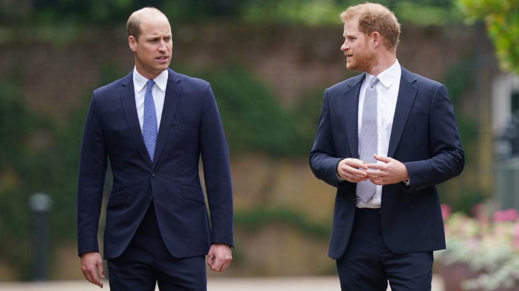Prince William and Prince Harry talking