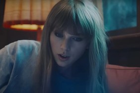 Taylor Swift's New Vinyl Art Reveals Even More Skin