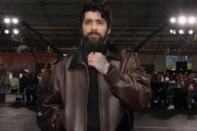 One Direction star Zayn Malik fan