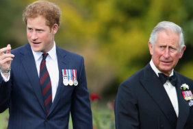 King Charles Prince Harry reunion