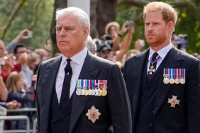 Britain's Prince Andrew, Duke of York (L) and Prince Harry, Duke of Sussex