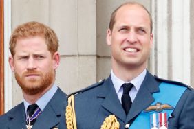 Prince Harry, Duke of Sussex and Prince William, Duke of Cambridge watch a flypast to mark the centenary of the Royal Air Force from the balcony of Buckingham Palace on July 10, 2018 in London, England.