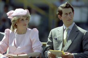 Princess Diana And Prince Charles watch an official event during their first royal Australian tour 1983 IN Newcastle, Austrlia.